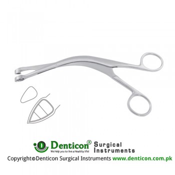 Faure Biopsy Forcep Stainless Steel, 21 cm - 8 1/4" Bite Size 8.4 mm